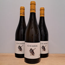 Load image into Gallery viewer, Organic Wine - Chante Cigale Cicada Blanc 🇫🇷