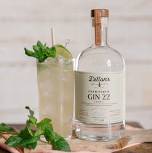 Load image into Gallery viewer, Dillon&#39;s Unfiltered Gin 22
