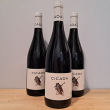 Load image into Gallery viewer, Organic Wine - Chante Cigale Cicada Blanc 🇫🇷
