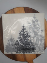 Load image into Gallery viewer, Paviot Dinner Napkins 🇫🇷
