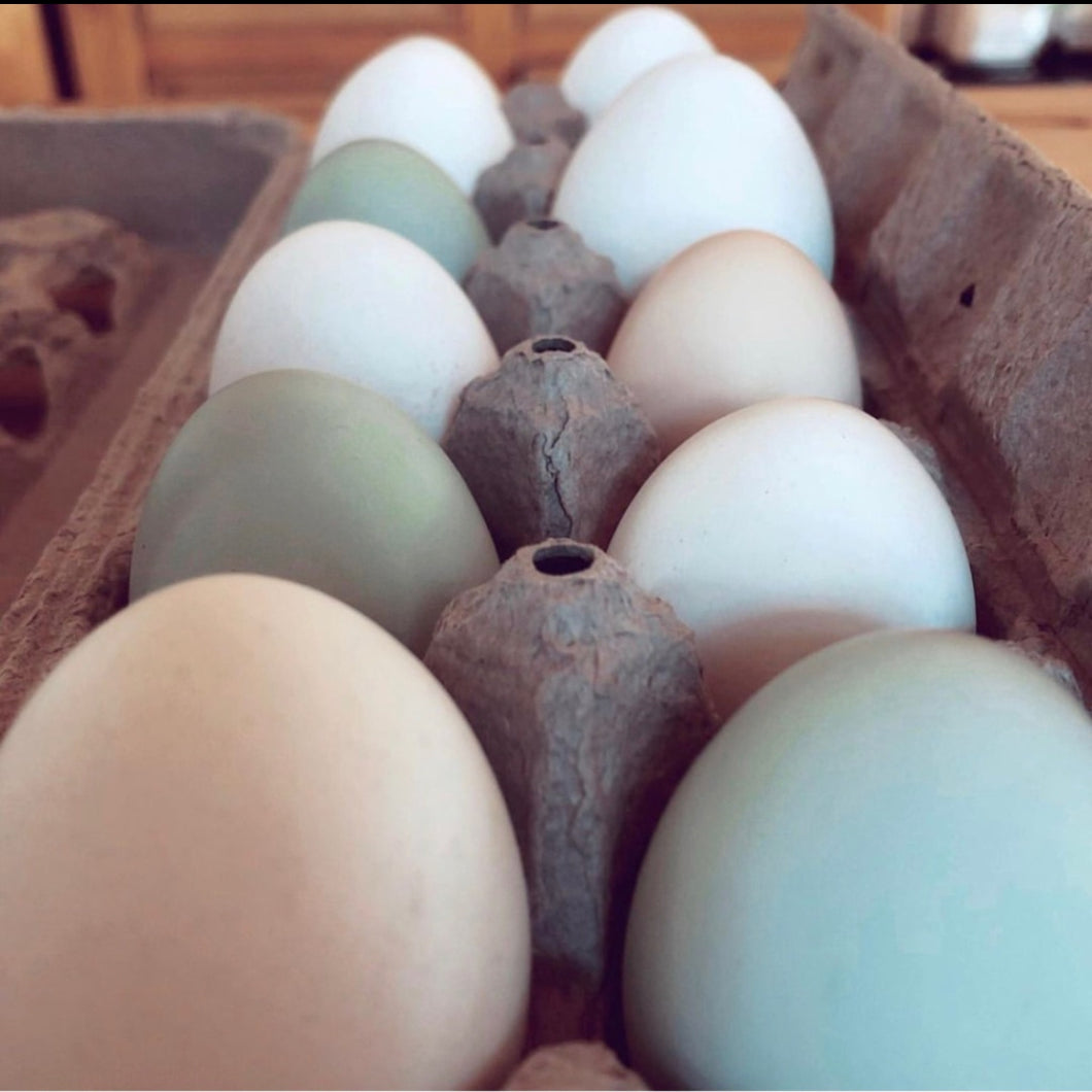 Organic Free-Range Eggs