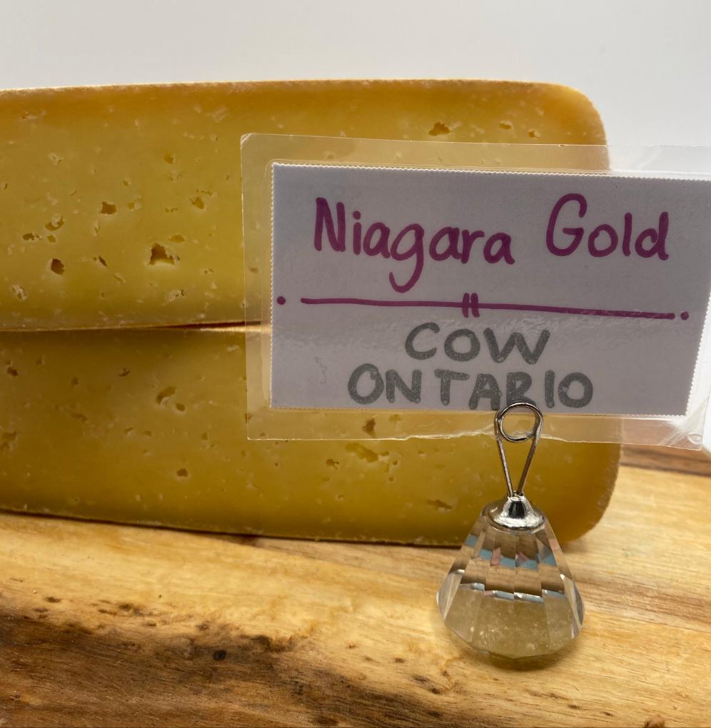 Niagara Gold (cow) 🇨🇦